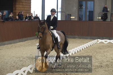 Blue Hors Para Dressur 2018
Billeder fra stævnet
Nøgleord: christine marcussen;fairlane