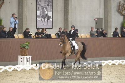 Blue Hors Para Dressur 2018
Billeder fra stævnet
Nøgleord: christine marcussen;fairlane