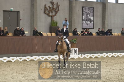 Blue Hors Para Dressur 2018
Billeder fra stævnet
Nøgleord: christine marcussen;fairlane