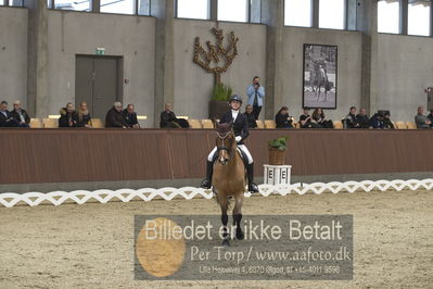 Blue Hors Para Dressur 2018
Billeder fra stævnet
Nøgleord: christine marcussen;fairlane