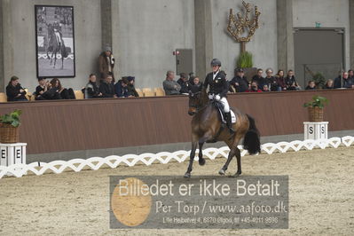 Blue Hors Para Dressur 2018
Billeder fra stævnet
Nøgleord: hege størseth;hoennerups force