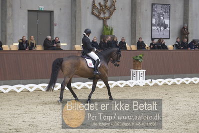 Blue Hors Para Dressur 2018
Billeder fra stævnet
Nøgleord: hege størseth;hoennerups force