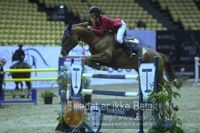 Showjumping
junior 135cm
Nøgleord: caroline nørgaard winter;cairo 34