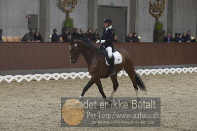 Blue Hors Para Dressur 2018
Billeder fra stævnet
Nøgleord: stine skillebek;cali