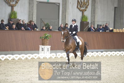 Blue Hors Para Dressur 2018
Billeder fra stævnet
Nøgleord: stine skillebek;cali