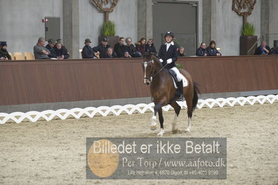 Blue Hors Para Dressur 2018
Billeder fra stævnet
Nøgleord: stine skillebek;cali