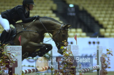 Showjumping
junior 135cm
Nøgleord: kristine amalie poulson;caracella