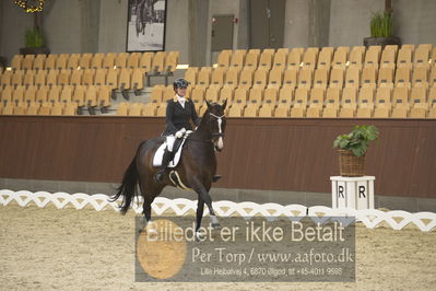 Blue Hors Para Dressur 2018
Billeder fra stævnet
Nøgleord: renee igelski;beyond dreams