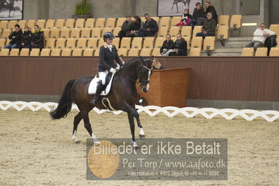 Blue Hors Para Dressur 2018
Billeder fra stævnet
Nøgleord: renee igelski;beyond dreams