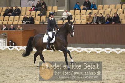 Blue Hors Para Dressur 2018
Billeder fra stævnet
Nøgleord: renee igelski;beyond dreams