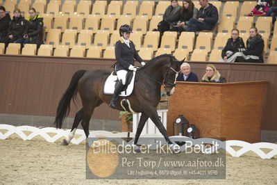 Blue Hors Para Dressur 2018
Billeder fra stævnet
Nøgleord: renee igelski;beyond dreams