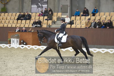 Blue Hors Para Dressur 2018
Billeder fra stævnet
Nøgleord: renee igelski;beyond dreams