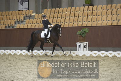 Blue Hors Para Dressur 2018
Billeder fra stævnet
Nøgleord: renee igelski;beyond dreams