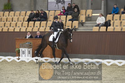 Blue Hors Para Dressur 2018
Billeder fra stævnet
Nøgleord: renee igelski;beyond dreams