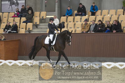 Blue Hors Para Dressur 2018
Billeder fra stævnet
Nøgleord: renee igelski;beyond dreams