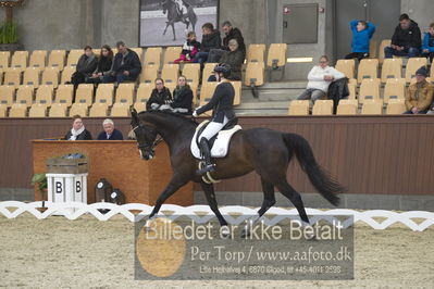 Blue Hors Para Dressur 2018
Billeder fra stævnet
Nøgleord: renee igelski;beyond dreams