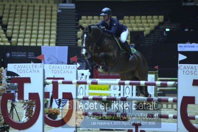 Worldcup Herning 2018
Blue hors 3 grand prix kvl 150cm
Nøgleord: julie andrews;ayton IV
