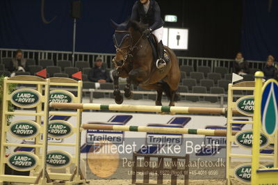 Worldcup Herning 2018
horsetrainer 1horsetrainer 140cm big tour 140cm
Nøgleord: jennifer  fogh pedersen;dree boekens darcos vulkan