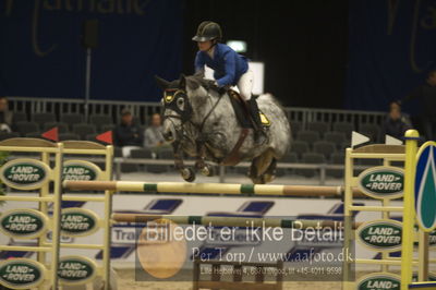 Worldcup Herning 2018
horsetrainer 1horsetrainer 140cm big tour 140cm
Nøgleord: linda heed;true grit