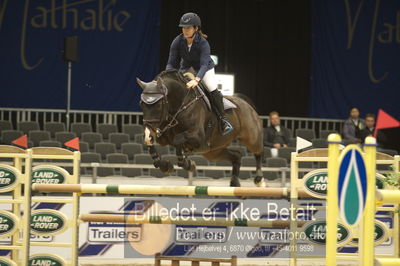 Worldcup Herning 2018
horsetrainer 1horsetrainer 140cm big tour 140cm
Nøgleord: susanne lorenz;stolzenfels 3