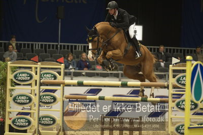 Worldcup Herning 2018
horsetrainer 1horsetrainer 140cm big tour 140cm
