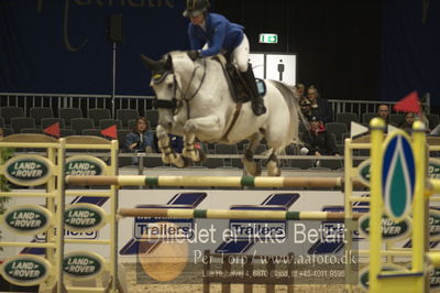 Worldcup Herning 2018
horsetrainer 1horsetrainer 140cm big tour 140cm
Nøgleord: linda heed;laurien van orshof