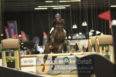 Worldcup Herning 2018
horsetrainer 1horsetrainer 140cm big tour 140cm
Nøgleord: astrid lund wisholm;filandi