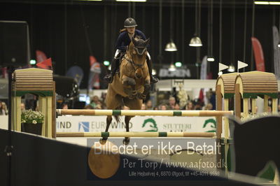 Worldcup Herning 2018
horsetrainer 1horsetrainer 140cm big tour 140cm
Nøgleord: ida bech lange;jokinal