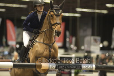 Worldcup Herning 2018
horsetrainer 1horsetrainer 140cm big tour 140cm
Nøgleord: ida bech lange;jokinal