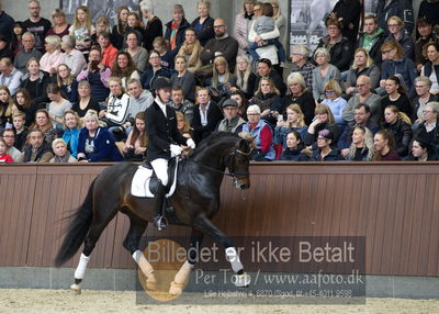 bent hus 2018
Billeder fra åbent hus
Nøgleord: daniel bachmann andersen;blue hors emilio