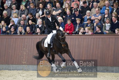 bent hus 2018
Billeder fra åbent hus
Nøgleord: daniel bachmann andersen;blue hors emilio