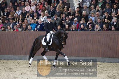 bent hus 2018
Billeder fra åbent hus
Nøgleord: blue hors farell;alan grøn