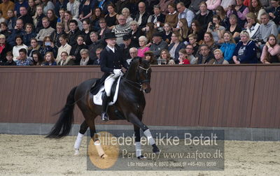 bent hus 2018
Billeder fra åbent hus
Nøgleord: blue hors farell;alan grøn