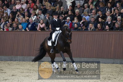 bent hus 2018
Billeder fra åbent hus
Nøgleord: blue hors farell;alan grøn