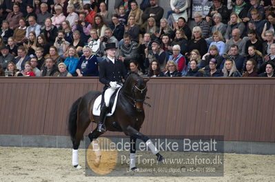 bent hus 2018
Billeder fra åbent hus
Nøgleord: blue hors farell;alan grøn