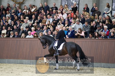 bent hus 2018
Billeder fra åbent hus
Nøgleord: blue hors farell;alan grøn