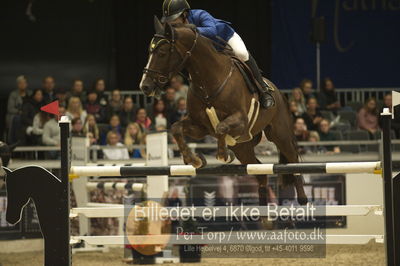 Worldcup Herning 2018
skibby hc 3 medium tour 140cm kvl
Nøgleord: linda heed;chicago de taillevent