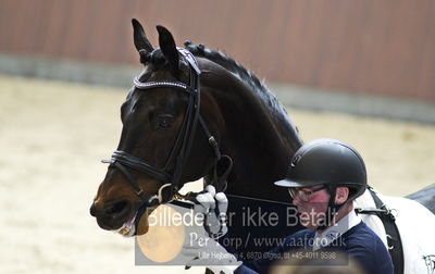 bent hus 2018
Billeder fra åbent hus
Nøgleord: blue hors rockefeller;martin klavsen