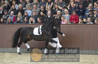 bent hus 2018
Billeder fra åbent hus
Nøgleord: blue hors rockefeller;martin klavsen