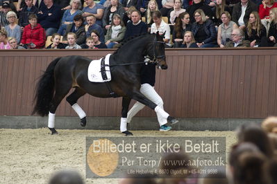 bent hus 2018
Billeder fra åbent hus
Nøgleord: blue hors rockefeller;martin klavsen