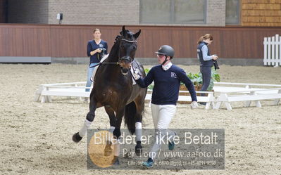 bent hus 2018
Billeder fra åbent hus
Nøgleord: blue hors rockefeller;martin klavsen