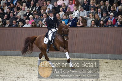 bent hus 2018
Billeder fra åbent hus
Nøgleord: blue hors venziano;daniel bachmann andersen