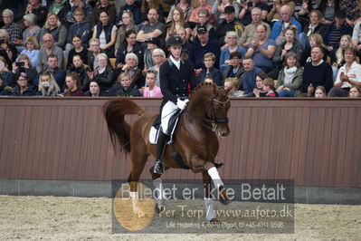 bent hus 2018
Billeder fra åbent hus
Nøgleord: blue hors venziano;daniel bachmann andersen