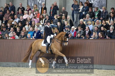 bent hus 2018
Billeder fra åbent hus
Nøgleord: blue hors zepter;daniel bachmann andersen