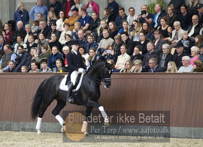 bent hus 2018
Billeder fra åbent hus
Nøgleord: blue hors st schufro;alan grøn