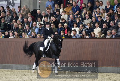 bent hus 2018
Billeder fra åbent hus
Nøgleord: blue hors st schufro;alan grøn