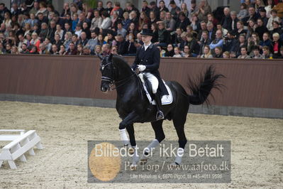 bent hus 2018
Billeder fra åbent hus
Nøgleord: blue hors st schufro;alan grøn