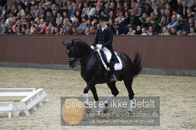 bent hus 2018
Billeder fra åbent hus
Nøgleord: blue hors st schufro;alan grøn