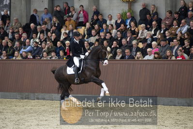 bent hus 2018
Billeder fra åbent hus
Nøgleord: blue hors don olymbrio;daniel bachmann andersen