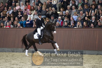 bent hus 2018
Billeder fra åbent hus
Nøgleord: blue hors don olymbrio;daniel bachmann andersen